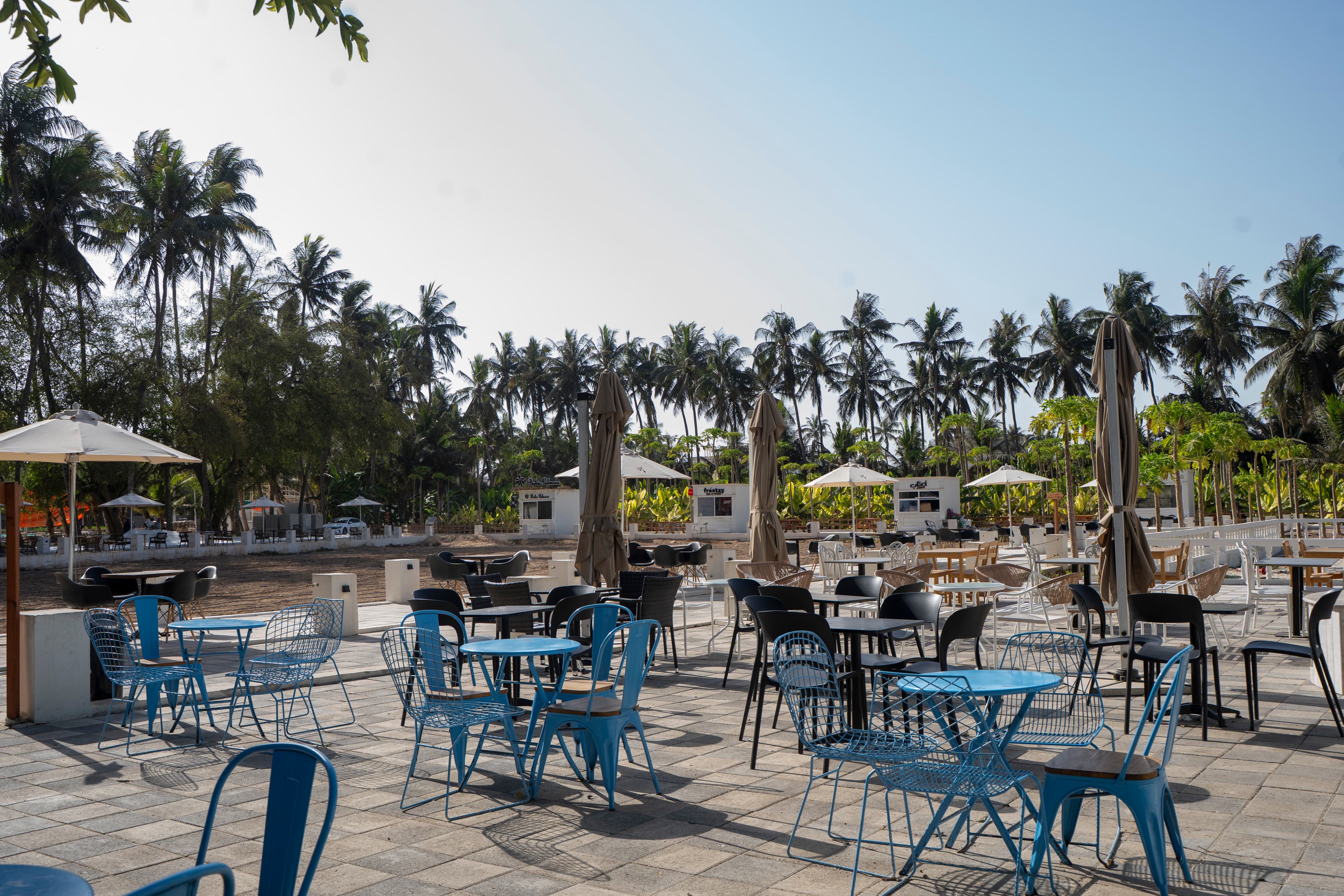 Blue chairs